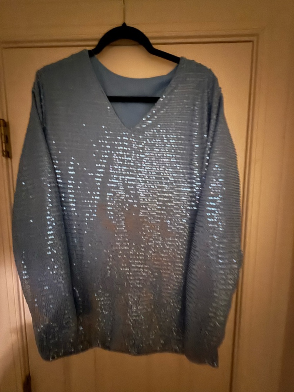 Sequined V-Neck Sweater - Blue womens
